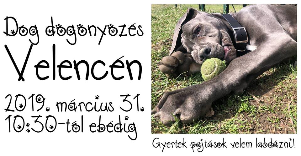 I-dog-dogonyozes-velencen