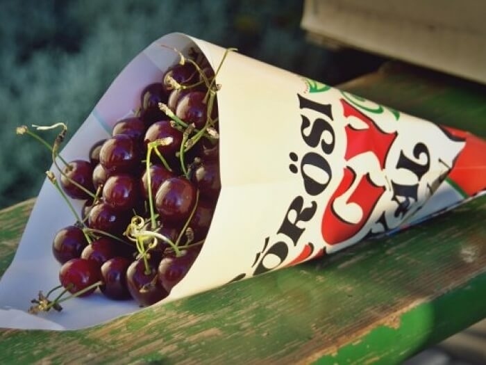 Korosi-moggyfesztival