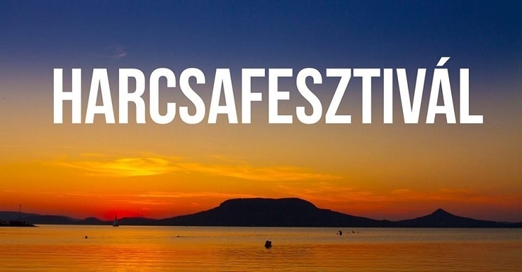 Harcsafesztival